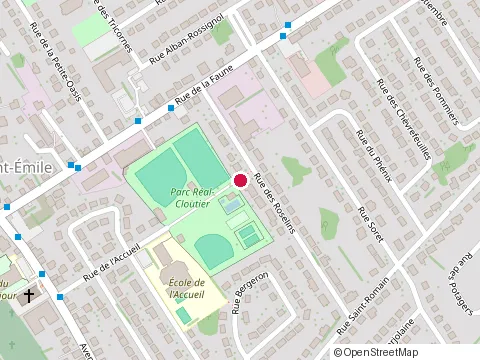 Location of Lafleur Sucrée at 2307 Rue du Cuir, Québec
