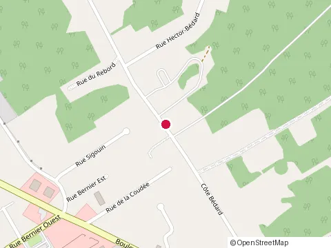 Location of Langevin, Michel Entrepreneur General Inc at 665 Cote Bedard, Québec