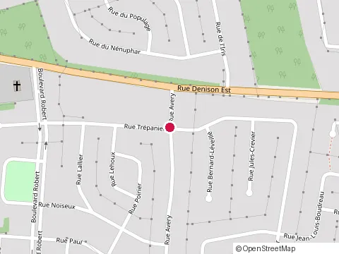 Location of Lave Auto Mobile Leandre Rossignol at 597 Rue Trepanier, Granby