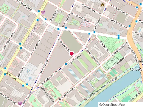 Location of le Roi du Lavage at 315 Rue Saint-Thomas, Montréal
