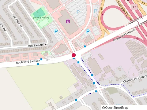 Location of les Coupeurs des Bois at 250 Samson, Laval