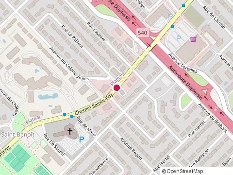 Location of les Délices Cinq Étoiles at 3350 chemin Ste-Foy, Québec