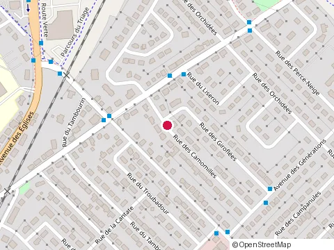 Location of les Entreprises Abel et Fils Inc at 6425 Rue des Camomilles, Levis