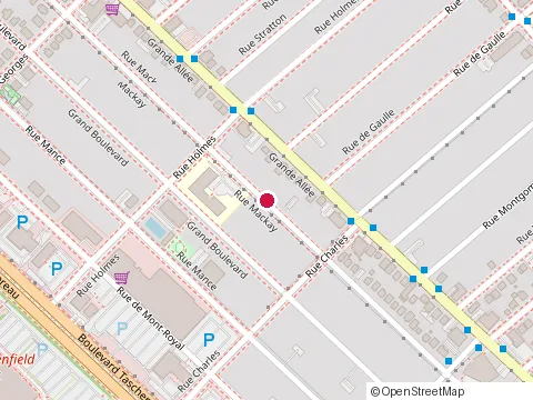 Location of les Entreprises Dany Lemay Inc at 3549 Rue Mackay #5, Saint-Hubert