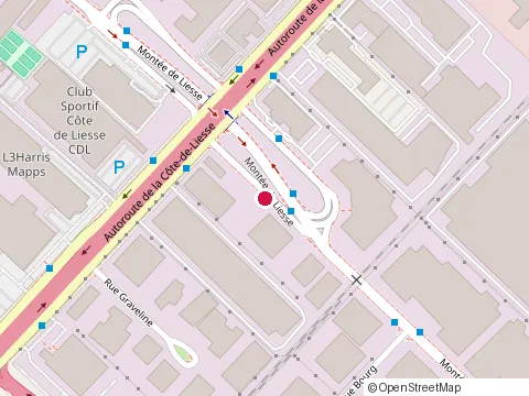 Location of les Entreprises Laurentien Électrique at 180 Mnt de Liesse, Montréal