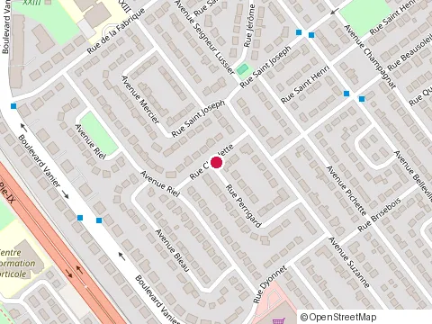 Location of les Entreprises Puig Inc. at 989 Rue Perrigard, Laval
