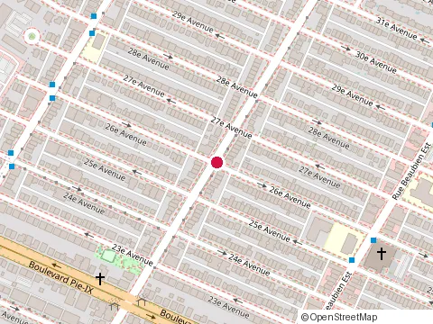Location of les Sculptures de Ballons de J at 6778 26 E Ave, Montréal