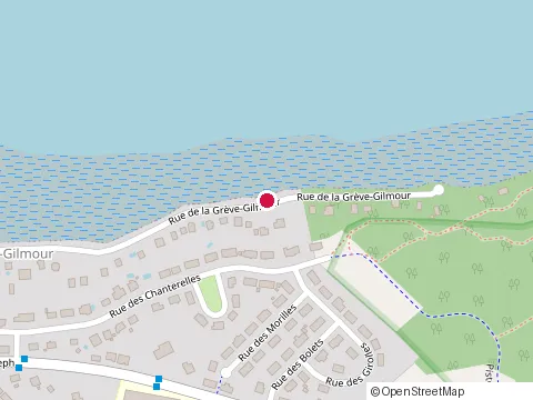 Location of les Terrassements Jeannot Pelletier Inc at 42 Rue de la Greve-Labonte, Levis