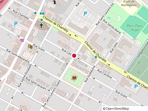 Location of Leyzer Skin at 351 Rue Caroline Bureau 205, Longueuil