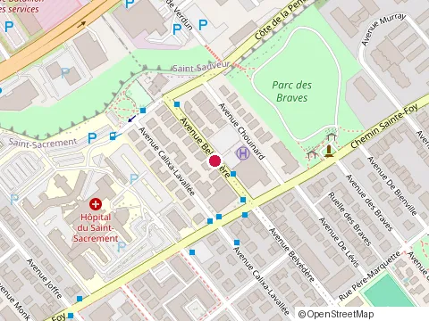 Location of Lifescan Canada at 675 avenue Belvedere, Québec