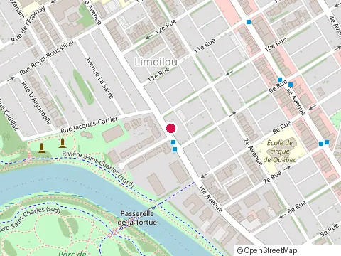 Location of Lsg Terrassement at 990 1Re Av., Québec