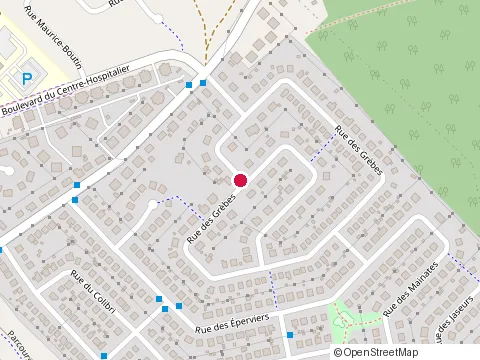 Location of Lustrage Expert Inc. at 7377 Rue des Grèbes, Levis