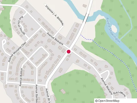 Location of M l Lettreur Inc at 3712 avenue de la Montagne, Shawinigan