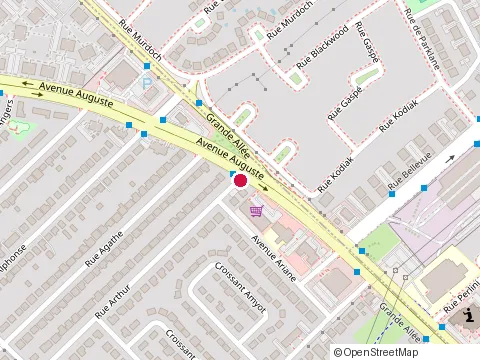 Location of Mauritius Family Association at 5805 Rue Arthur, Brossard