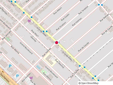 Location of Mecanique Mario & Jacques Inc at 2024 Rue Holmes, Saint-Hubert