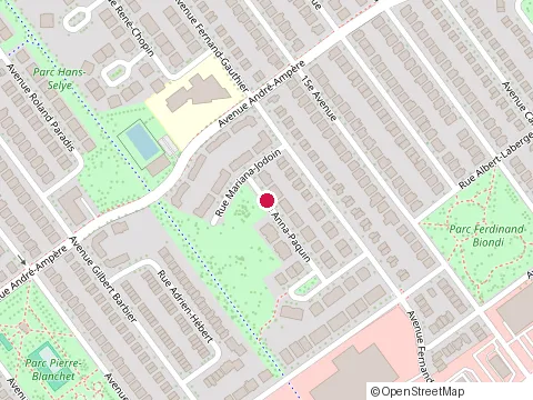 Location of Mejri Ame'Nagement at 12176 Rue Anna-Paquin, Montréal