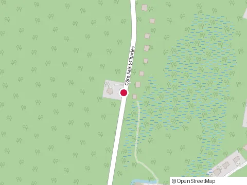 Location of Michel Viau Mallets at 2695 Rue Sandmere, Saint-Lazare