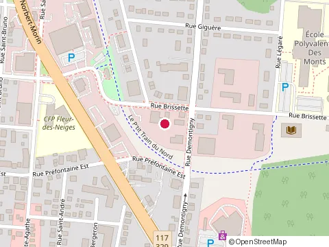 Location of Microtrolysis Carole Dumas at 99 Rue Demontigny, Sainte-Agathe-des-Monts
