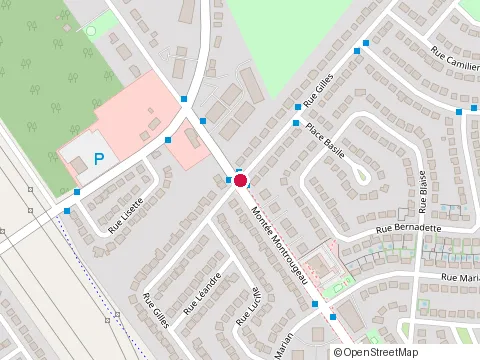 Location of Mtl Landscaping at 784 Mnt Montrougeau, Laval