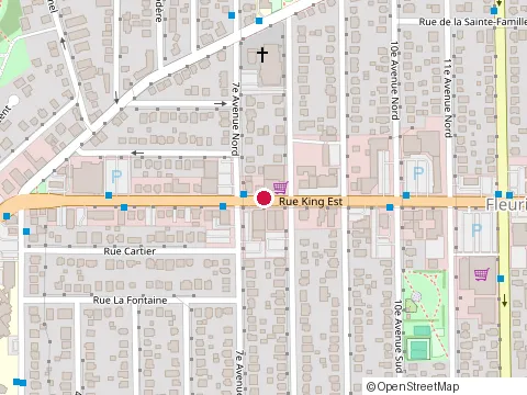 Location of Nb Metabolik Inc at 620 Rue King E, Sherbrooke