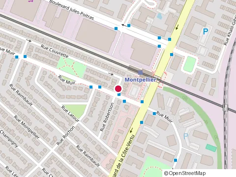 Location of Ng, Albert P.B. at 495 Rue Robertson, Saint-Laurent