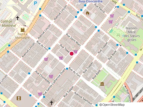 Location of Oiknine Danielle at 1417 Fort St, Montréal