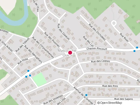 Location of Palépops at 923 Chem. Pincourt, Mascouche