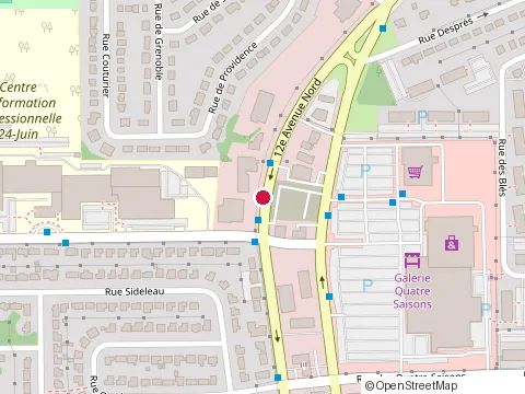 Location of Pasha Shish Taouk at 1177 12 Ave N, Sherbrooke