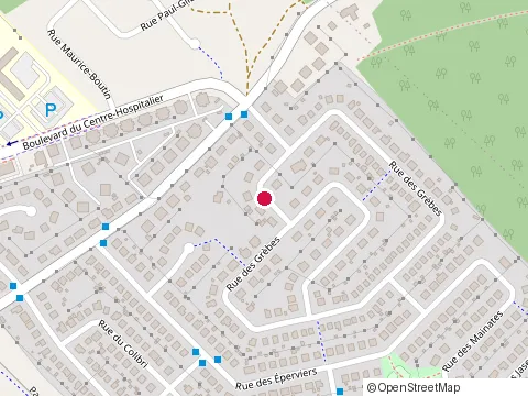 Location of Patrick Bernard, Conseiller en Sécurité Financière- Lévis, Québec at 7594 Rue des Grèbes, Lévis