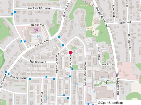 Location of Paysagement Reyes at 1990 Rue des Boises, Sherbrooke