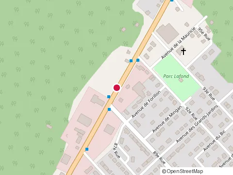 Location of Paysagiste Fleurs-Aly at 9172 Bd des Hêtres, Shawinigan
