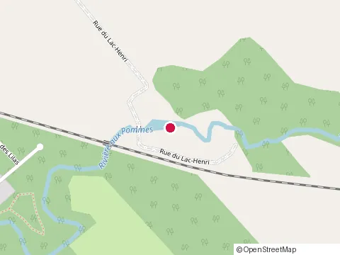 Location of Pelletier & Associés Experts en Sinistres Inc. at 16 Rue du Lac Henri, Pont-Rouge