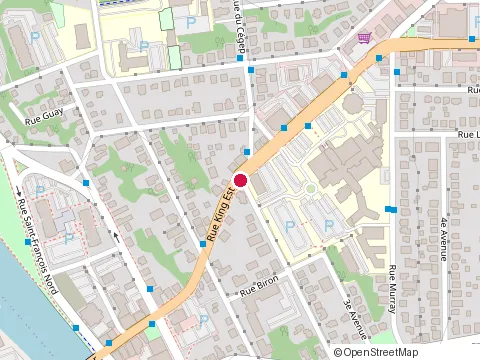 Location of Physiothe Rapie St-Vincent at 250 Rue King E, Sherbrooke