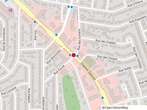 Location of Pizza Bravo Express at 1920 chemin Gascon, Terrebonne