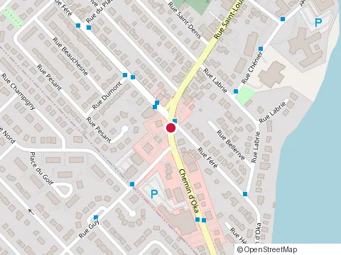 Location of Pizza Lali at 21 Chemin d'Oka, Saint-Eustache