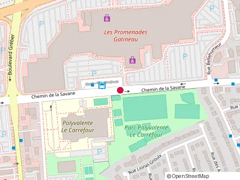 Location of Polyvalente le Carrefour at 50 Chem. de la Savane, Gatineau