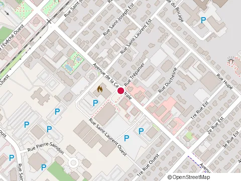 Location of Presto Pizzéria at 319 avenue de la Cathédrale, Rimouski