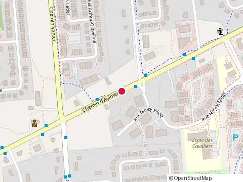 Location of Primary School des Cavaliers at 120 rue Nancy-Elliott, Gatineau