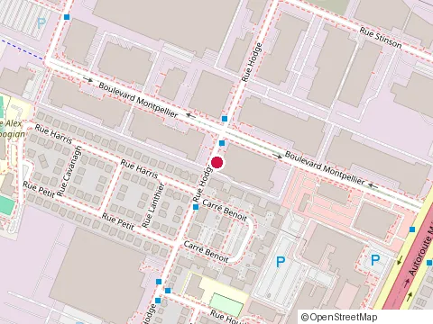 Location of Professional Orthopedic Products Canada Inc at 700 Rue Hodge, Saint-Laurent