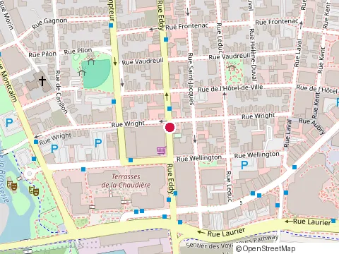 Location of Restaurant Go Sing at 56 Rue Eddy, Gatineau