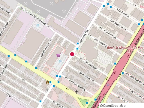 Location of Restaurant Vegetarien Pho Da Son at 3343 Rue Jarry E, Montréal