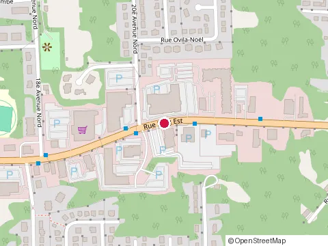 Location of Resto Bar le Dauphin at 1269 Rue King E, Sherbrooke