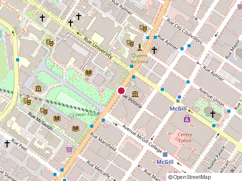 Location of Café Notman at 690, rue Sherbrooke O., Montréal