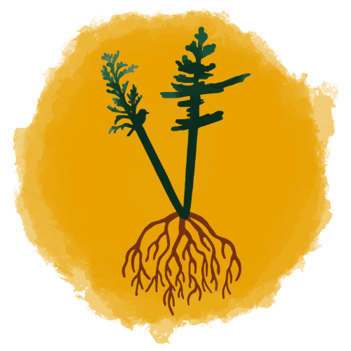 Vers Forêt