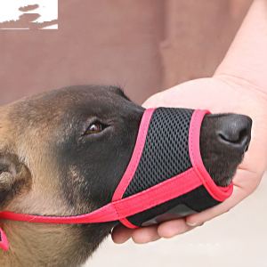 Muselière chien grand format Labrador