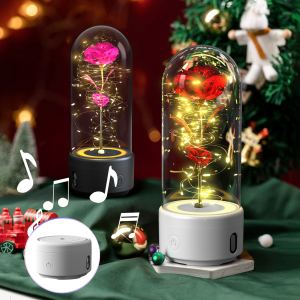 Lumière LED rose et haut-parleur Bluetooth Saint-Valentin