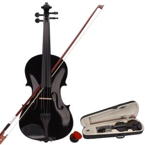 Violon acoustique noir