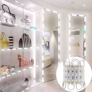 Module LED étanche 60 lumières blanc 10pi