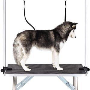 Table toilettage chien