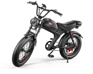C93 Vélo électrique 20 po 20A